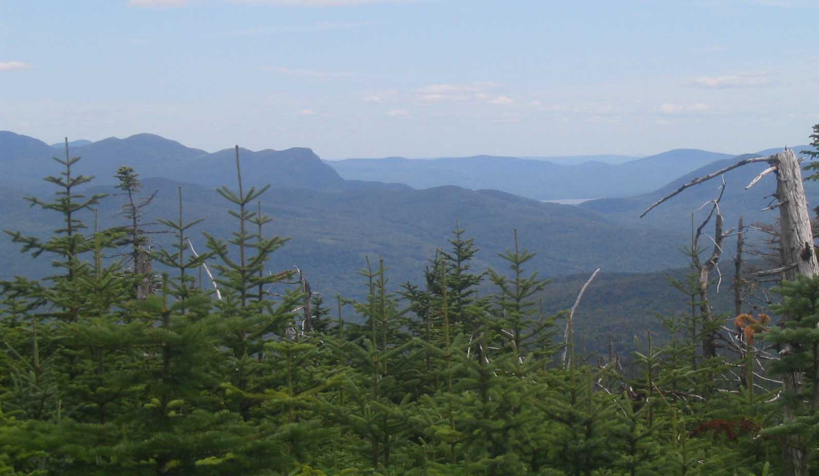 6.3 MM. This view from West Peak of Bemis Mountain (elev. 3,592 feet) includes Jackson and Tumbledown Mountains as well as Little Ellis Pond. Courtesy askus3@optonline.net